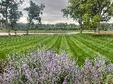 Greenleaf Landscape Management photo 6