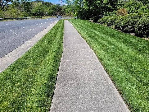 Freedom Mowers Lawn Care Service, LLC in Chesapeake