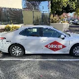Orkin photo 6