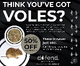 Defend Pest Solutions- Fargo photo 4
