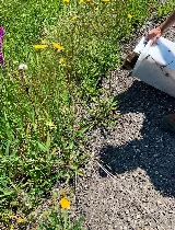 Speedy Pest Control photo 6