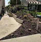 All Professional Landscape photo 3