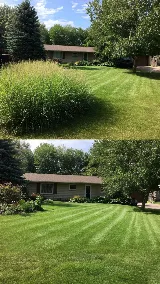 Castro Lawn Care photo 6