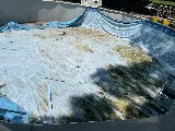 Terrell’s Pool Service LLC photo 5
