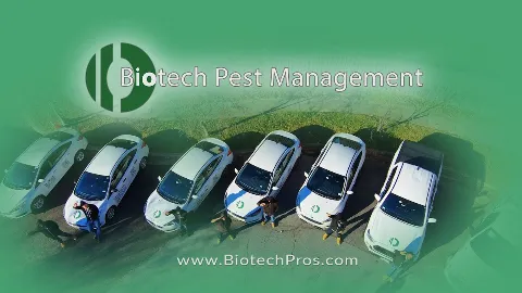 BioTech Pest Management photo 1