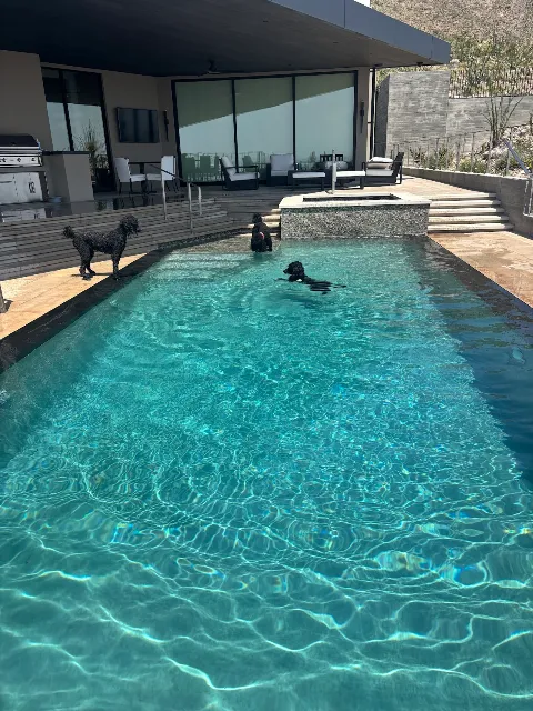 Four Seasons Pool Service photo 1