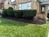 Dario Garcia Landscaping LLC photo 7
