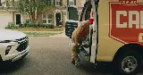 Call Dad photo 6