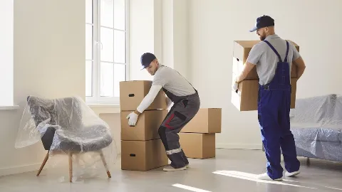 Ned's Movers in Sarnia