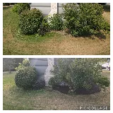 Level Tam Landscaping, LLC photo 7