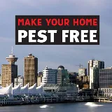 Geroge town Mega Pest Control