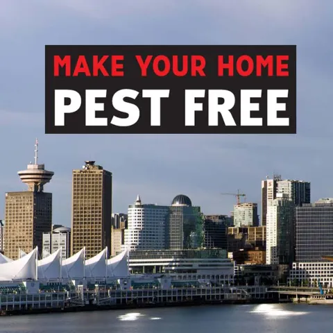 Geroge town Mega Pest Control in Halton Hills