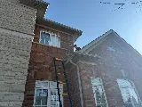 Icon pest control & wildlife removal in Richmond Hill photo 2