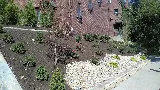 TITAN LANDSCAPE AND TREE SERVICES LLC photo 7
