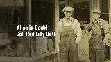Red Lilly Plumbing