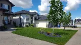 Pioneer Landscaping photo 6