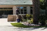 Greenleaf Pest Control photo 4