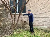 Beeline Pest Control photo 3