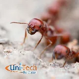 Uni-Tech Pest Control photo 4