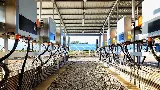 Sun City Solar Energy photo 6