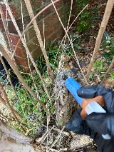 PureDefense Pest Solutions photo 7