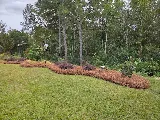 Amazing Lawn & Landscape photo 2