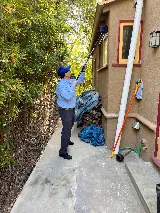 Prolific Pest Control photo 3