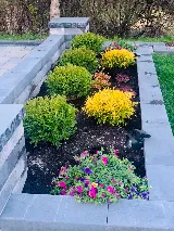 Precise Landscaping and Construction photo 6