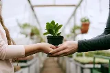 Landscaping Charm Experts Edmonton photo 10