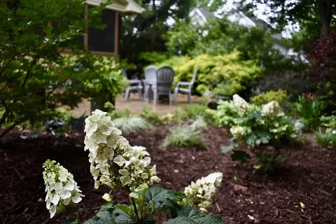 LandGreen Landscaping Inc. in Raleigh