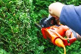 Landscaping GreenExperts Victoria photo 9