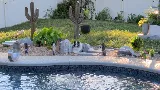 Anderson Pools & Spas photo 4