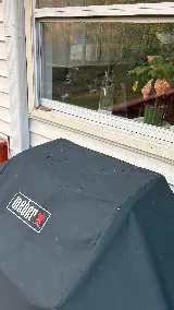 Nooga Pest Control, LLC photo 2