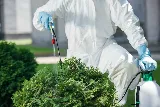 Rapid Pest Control Chula Vista photo 3