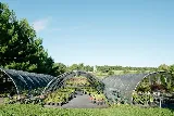 Avant Gardening & Landscaping photo 7
