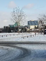We Clean Pest Control Edmonton photo 7