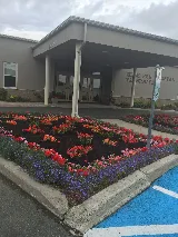 Nutri-Lawn St. John's photo 6