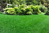 Cory's Lawn Service photo 2