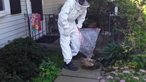 City & Suburbs Pest Control,LLC photo 1