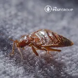 The PEST Group photo 7