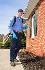 Insight Pest Solutions photo 8
