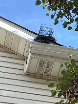 Rottler Pest Solutions photo 3