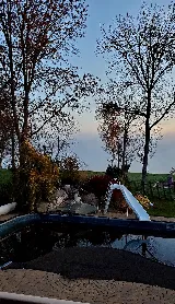 Beaverdam Pools Ltd