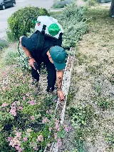 EcoPro Pest Control photo 6