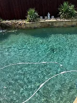 San Antonio Local Pool Maintenance photo 5