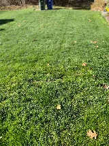 Colonial Pest Control Inc. photo 5
