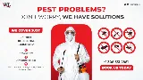 Safetech Pest Control photo 7