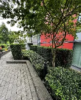 Maplezorean Landscaping Ltd. photo 3
