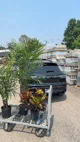 Paul Henry Landscaping photo 2