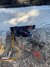 Active Pest Control, Inc. photo 6